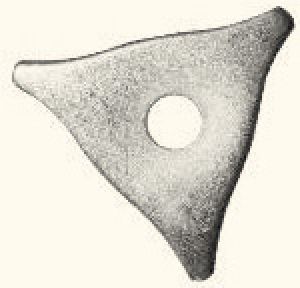 F 015