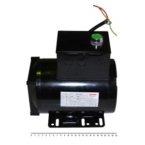 *2.15_TST40C Электродвигатель с кнопкой пуска в сборе для Trommelberg TST40C