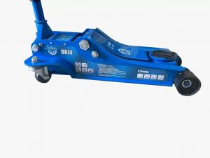 BRJ-4