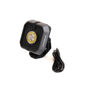 FL1000W