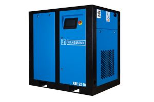 RSE 22-10