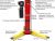 Двухстоечный подъемник ATIS A235CM (PEAK 208C)