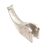  ROSSVIK TC-10-1340001 Крюк монтажный V-26, V-57