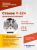 Шиномонтажный станок (стенд) ROSSVIK V-524 (380, серый)